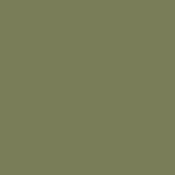 Стекломагниевый лист (СМЛ) RAL 6013 Тростниково-зелёный